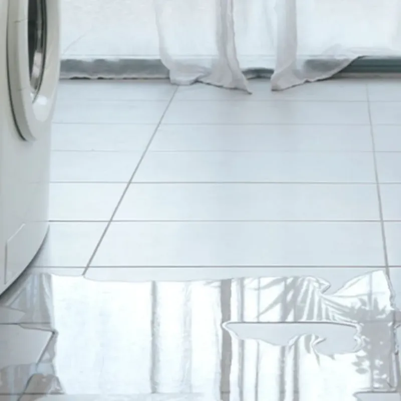 Appliance Leak Cleanup in Hillsdale County, MI