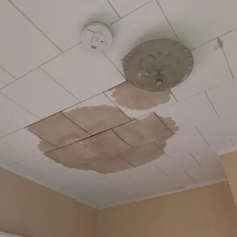 Ceiling Water Damage Repair in Hillsdale County, MI