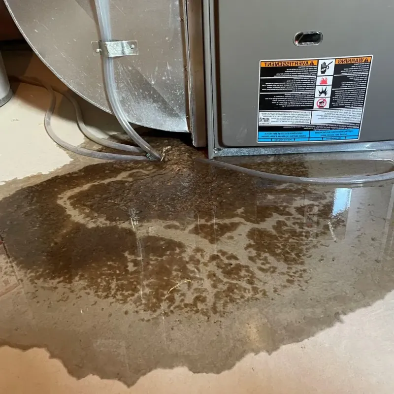 Pipe Burst and Leak Restoration in Hillsdale County, MI