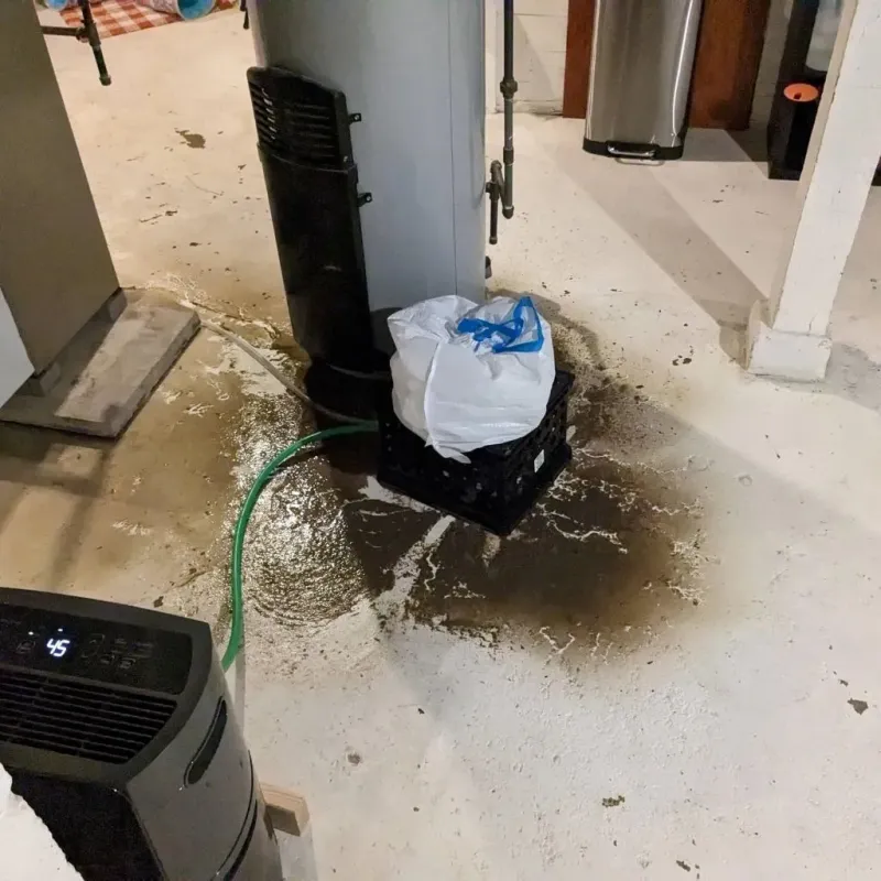 Sewage Backup Cleanup Service in Hillsdale County, MI